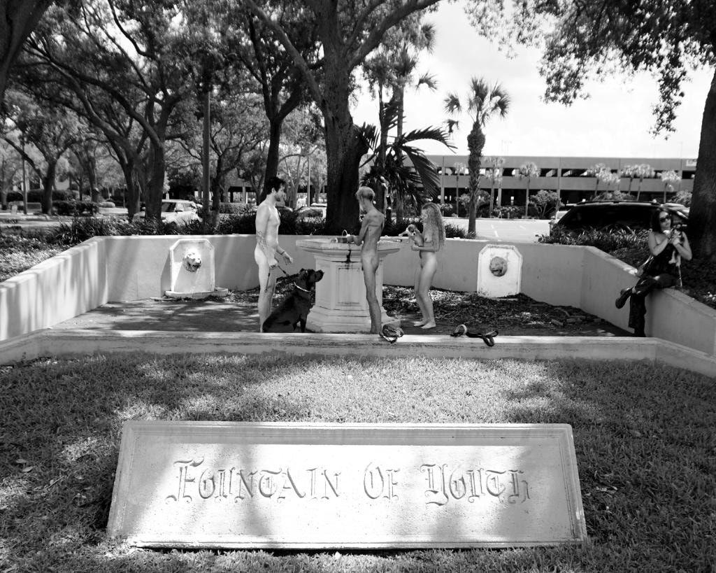People and dogs at a fountain sculpture garden